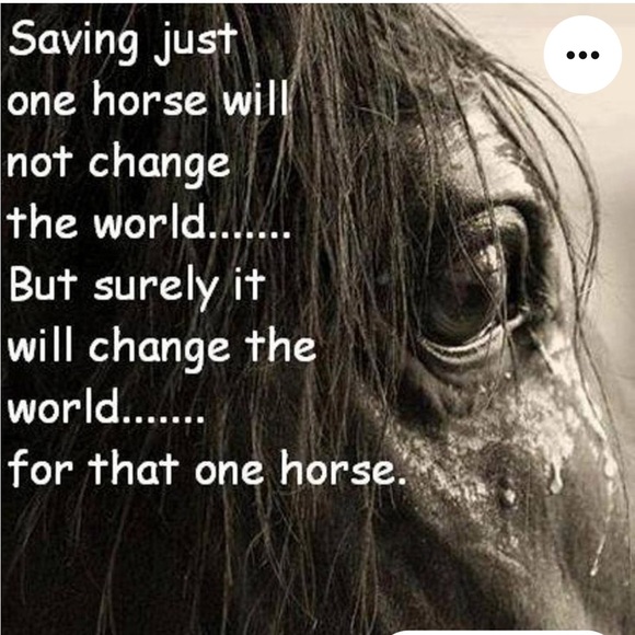 Meet your Posher, Renee. - Picture 4 of 5